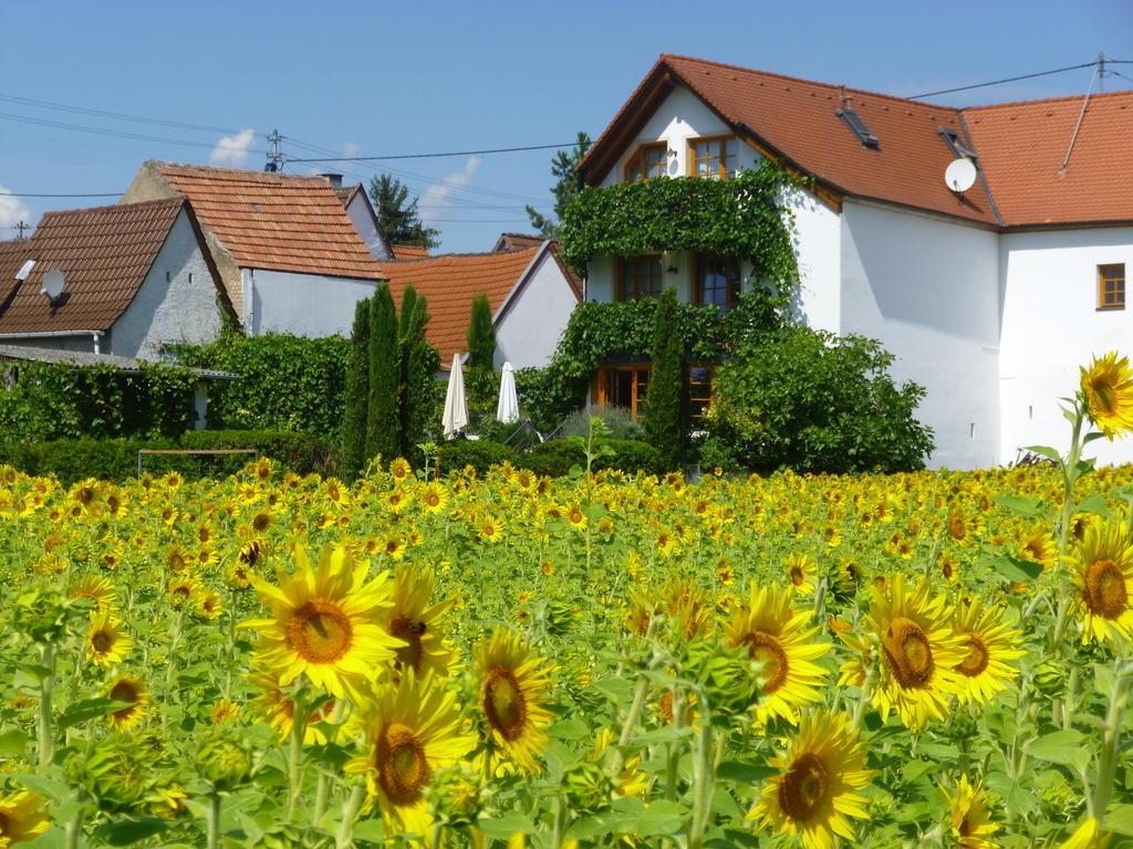 Landhotel Kallstadt Extérieur photo